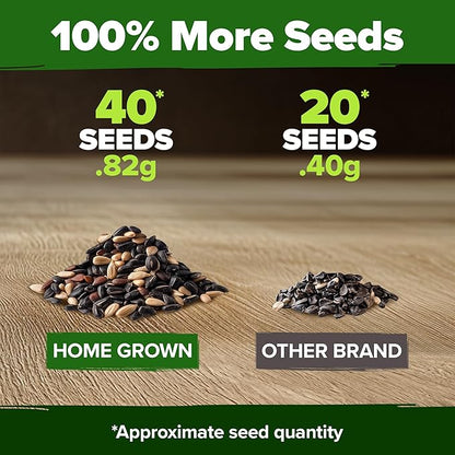 HOME GROWN Autumn Beauty Sunflower Seeds to Plant 40 Heirloom Non-GMO Sunflower Seeds for Planting Blooms for Pollinator Support, and Ornamental Flower Garden (Helianthus annuus)